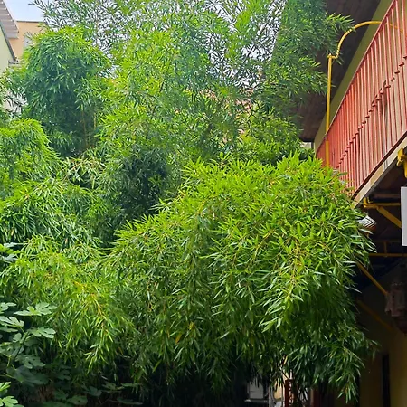 Appartement Fuji With Terrace In Centre Bratislava