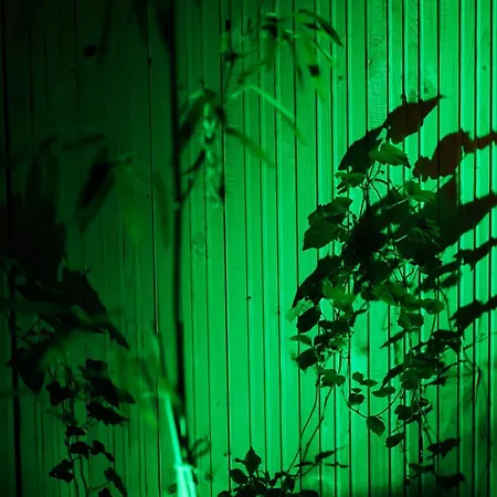 Apartamento Fuji With Terrace In Centre *