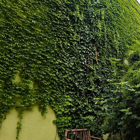 Fuji With Terrace In Centre *